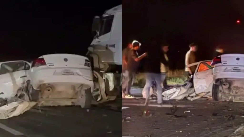 Impacto fatal al esquivar carpinchos en la Ruta&nbsp;3