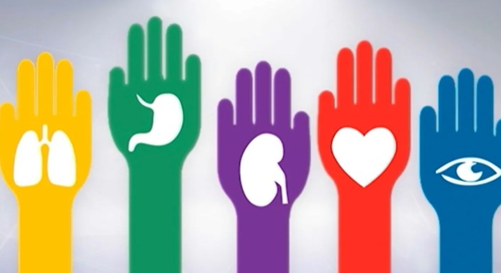 Cifras actualizadas: la realidad de los argentinos que esperan un trasplante de&nbsp;órganos