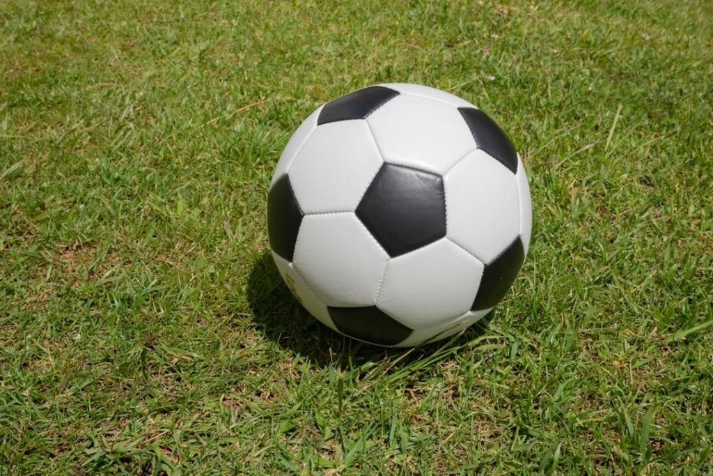 Argentina juega contra Argelia: hora, canal y&nbsp;formaciones
