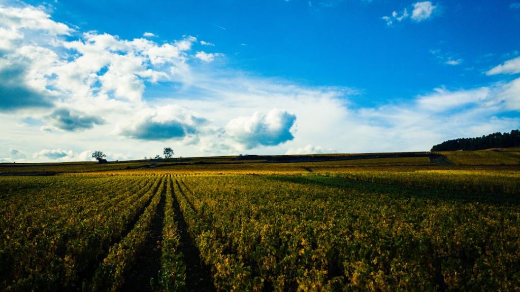 Del pensamiento binario a estrategias inteligentes en el&nbsp;agro