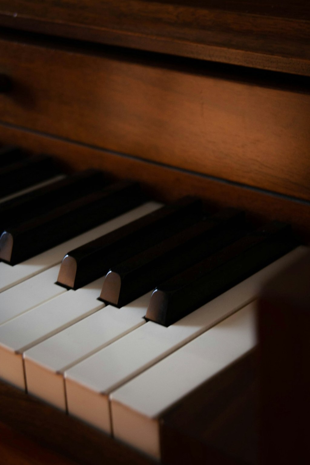 La pianista que musicalizó los goles de Argentina en el&nbsp;Mundial