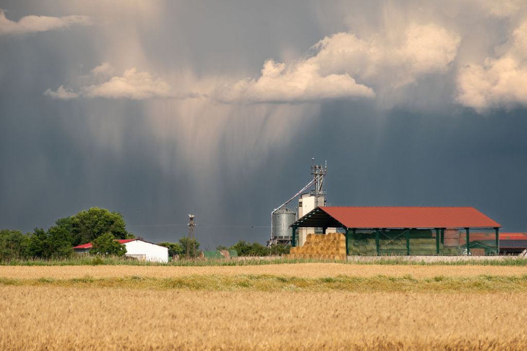 Precipitaciones de El Niño animan la campaña agrícola&nbsp;santafesina